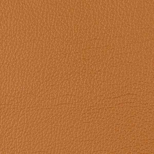 OCEAN-col_412
