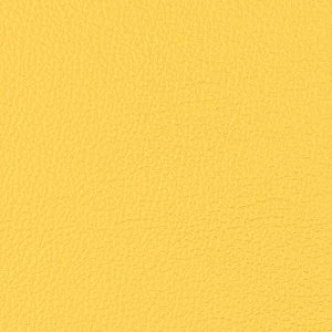 OCEAN-col_430