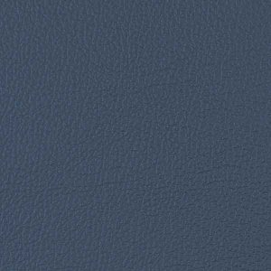 OCEAN-col_441