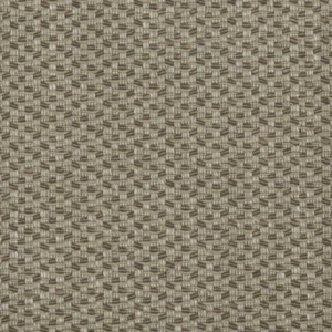 0668-colore-02